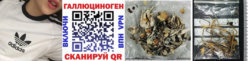 Купить где  Рыбное  Псилоцибиновые грибы мицелий 