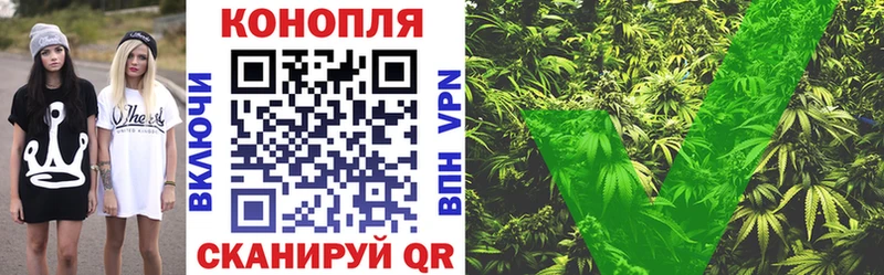 Купить  Рыбное  Канабис SATIVA & INDICA 
